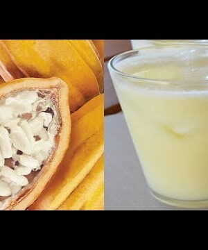 NÉCTAR DE CACAU (500ml)