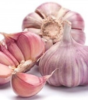 ALHO ORGÂNICO ( 3unid)