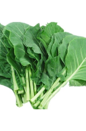 COUVE ORGÂNICA (MOLHO)