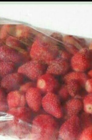 MORANGOS DA CHAPADA (CONGELADO,1kg)