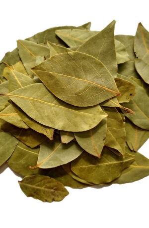 FOLHAS DE LOURO (15g)