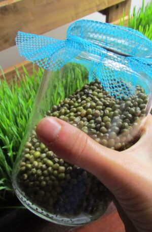 FILÓS PEQUENOS ( 3 UNID)